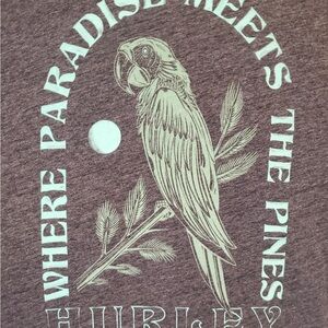 Men’s Hurley Tee Shirt